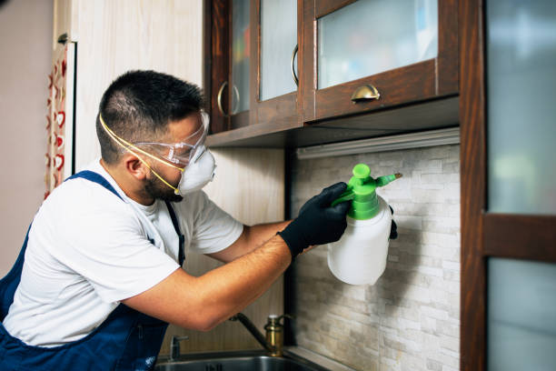  Woodinville, WA Pest Control Pros