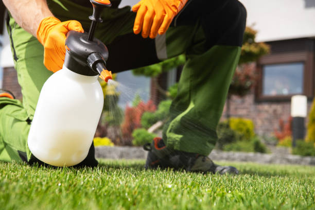 Professional Pest Control in Woodinville, WA