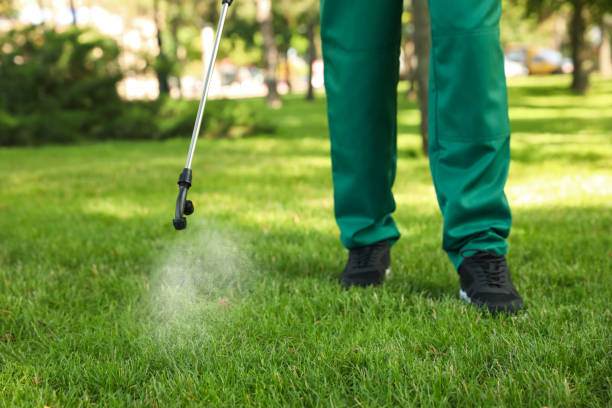 Best Mosquito Control Services  in Woodinville, WA