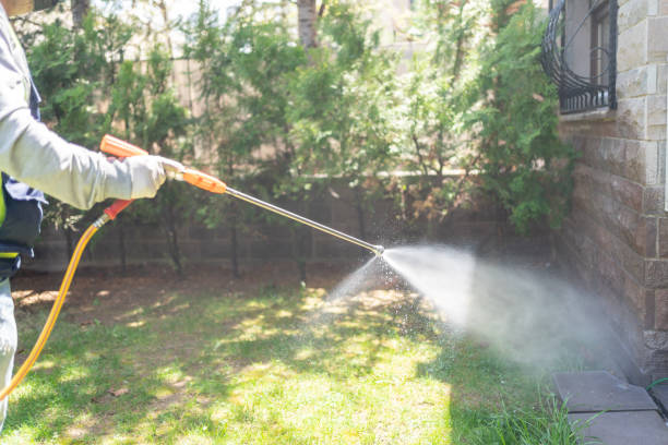 Best Residential Pest Control  in Woodinville, WA