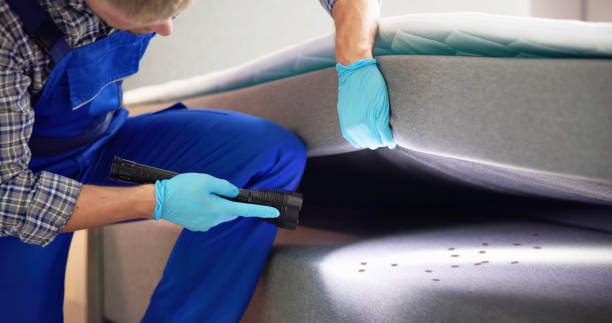 Best Bed Bug Extermination  in Woodinville, WA